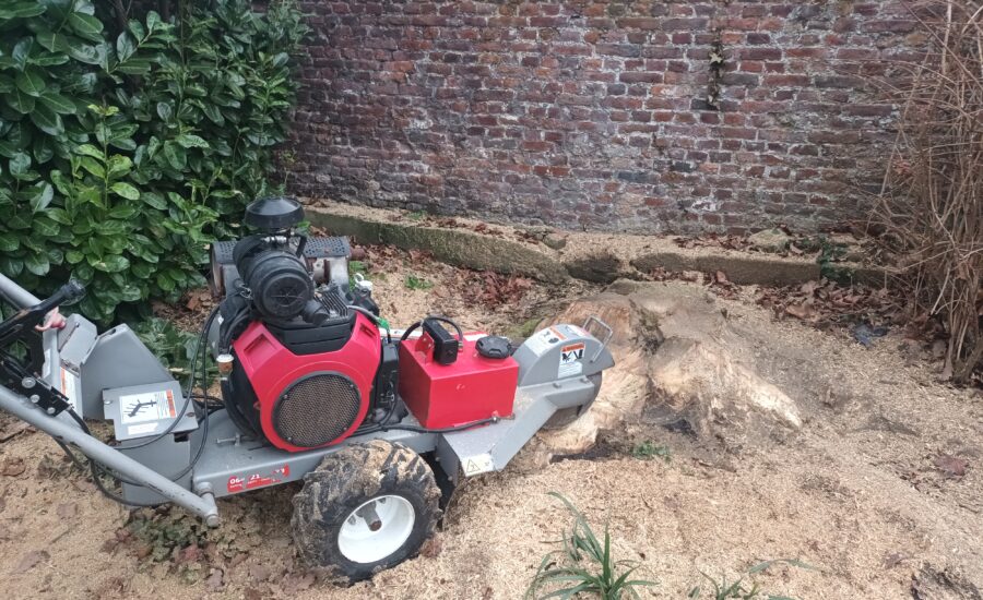 Suppression de souches en Wallonie – Dosko 691SP